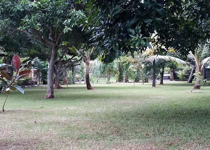 Medori Putih