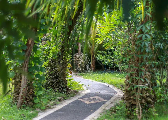 Accommodatie bij particulieren Medori Putih