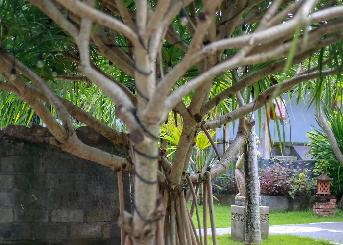 Medori Putih Accommodatie bij particulieren Uluwatu